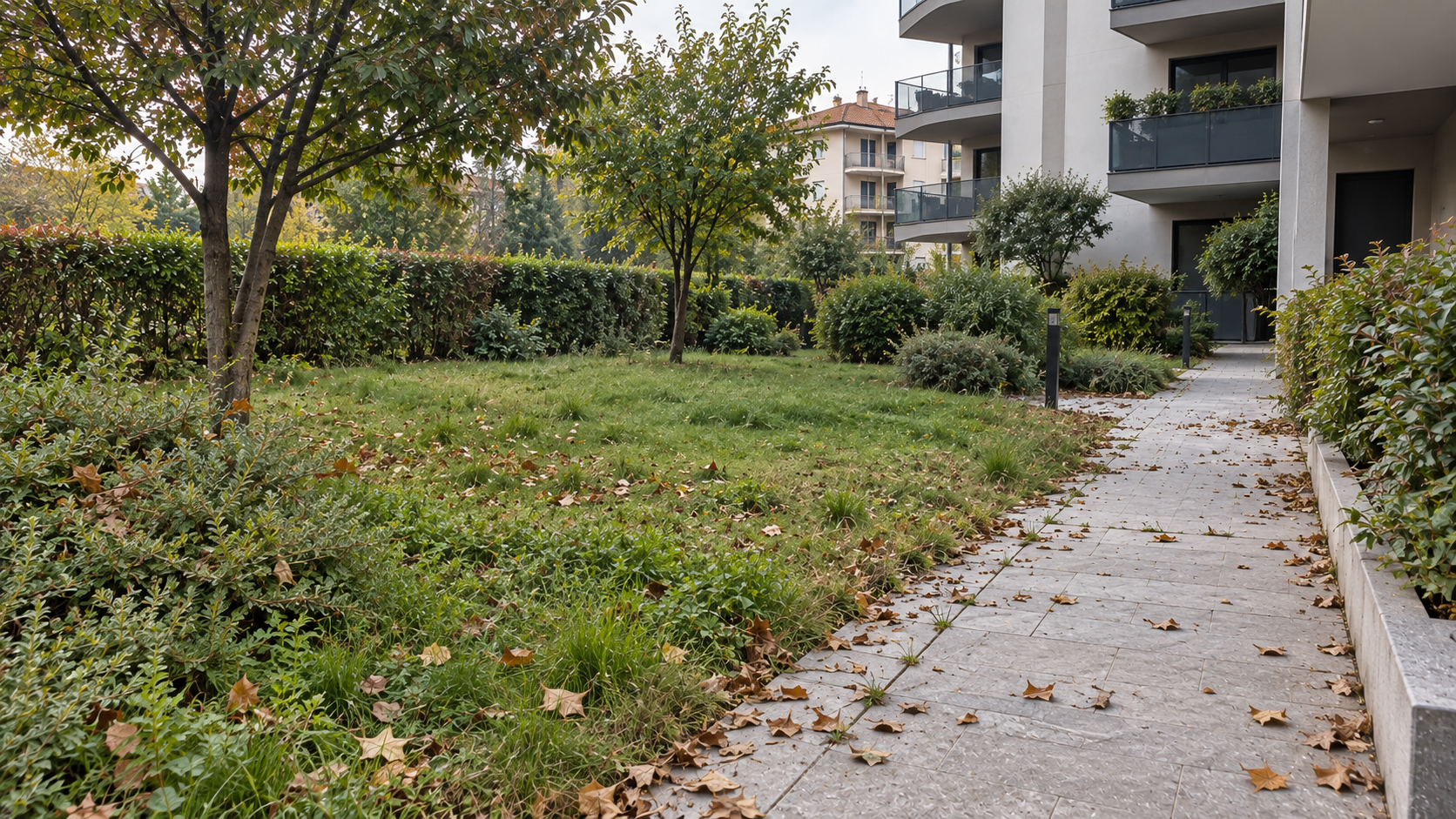 Giardino prima dell'intervento Nexora